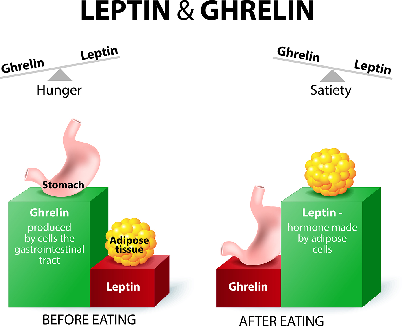 How To Balance Your Hormones Naturally