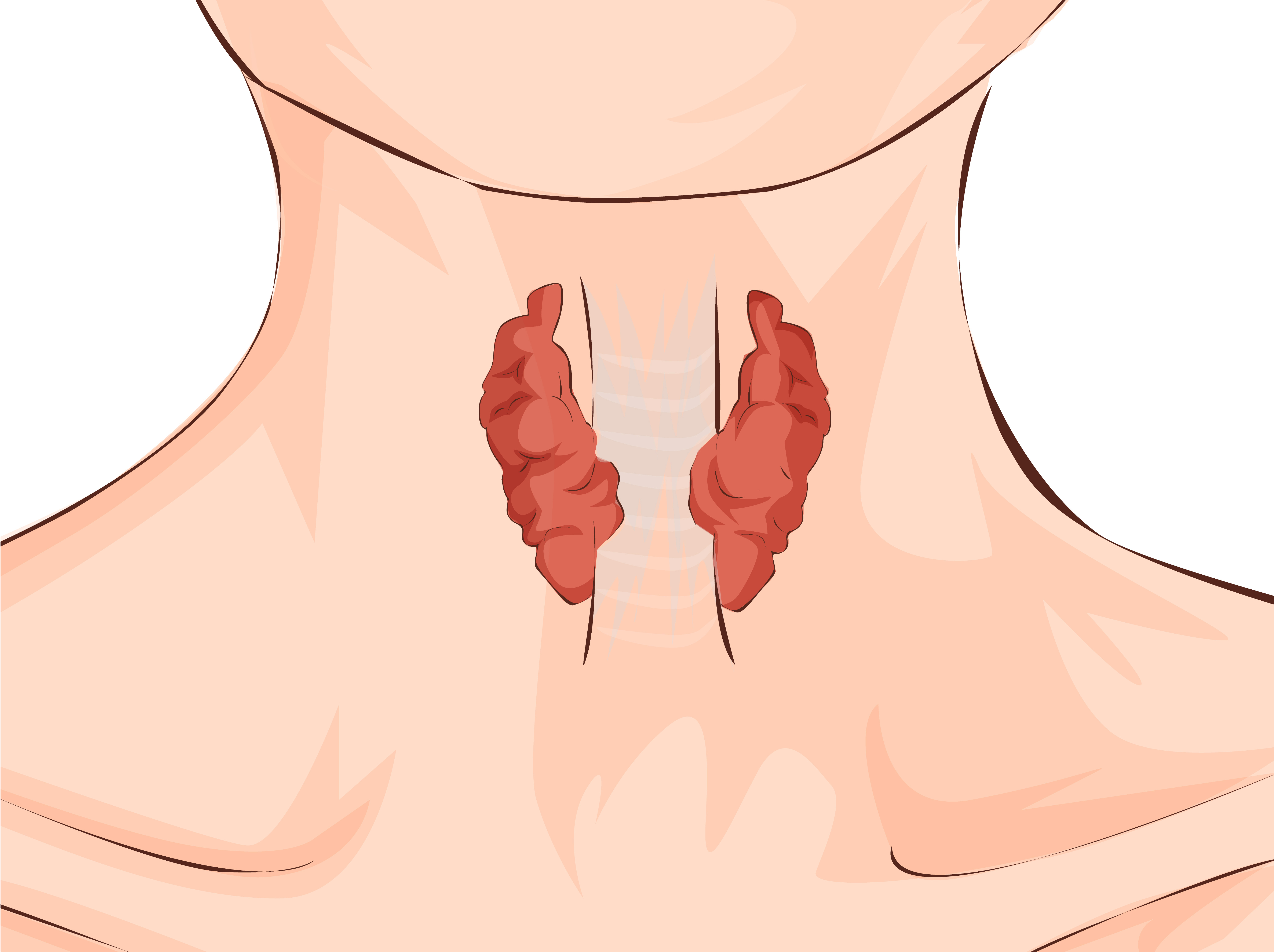 FAQs FOR THYROID