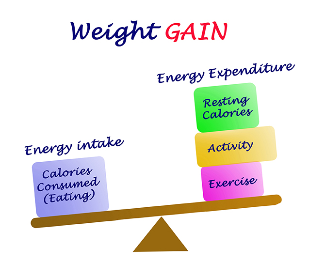 What is Energy Balance and Obesity?