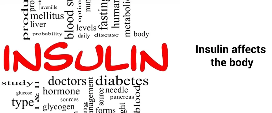 Effects of insulin on the body