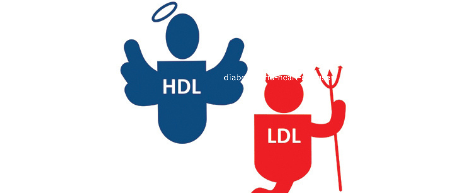 Importance of Lipid Profile Test