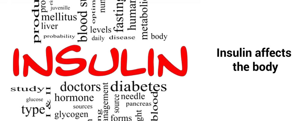 Effects of insulin on the body