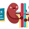 Protect Kidneys