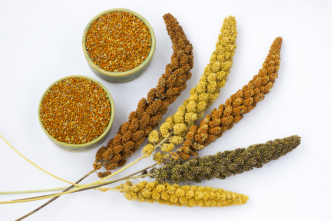 14-benefits-of-indian-millets-in-a-diabetic-diet