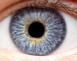 Pupil Disease Symptoms